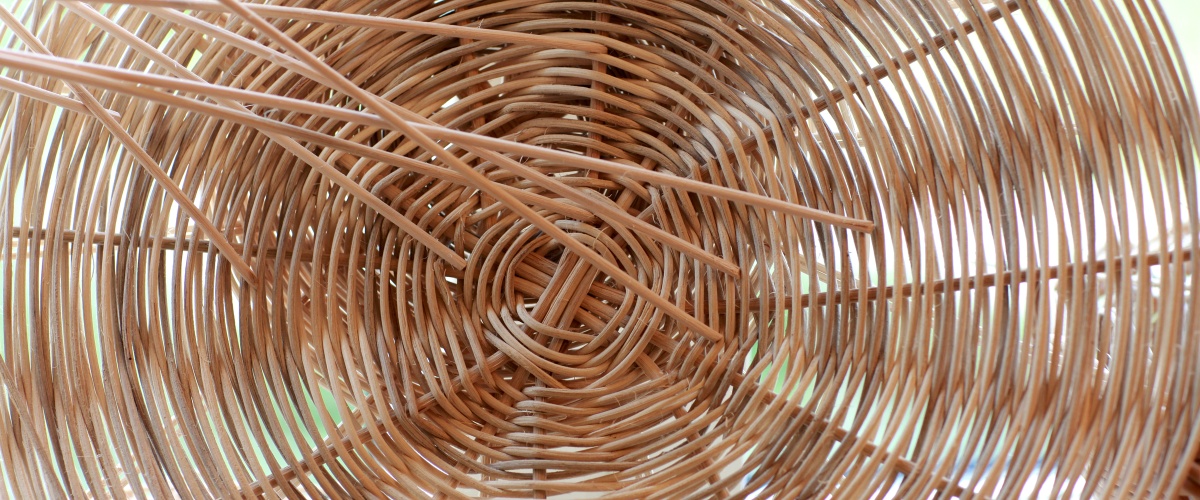 Header Bild